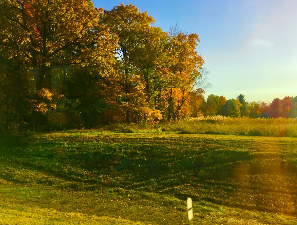 Bethlehem Central Schools | Albany, NY 12209, USA | Phone: (518) 439-3650