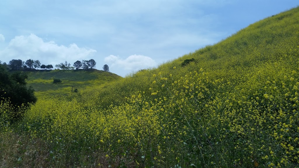 Lopez-Penasquitos canyon confluence | San Diego, CA 92121, USA | Phone: (619) 525-8213