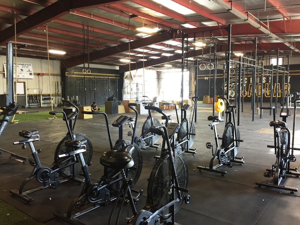 CrossFit Jaguar Tampa | 9509 N Trask St, Tampa, FL 33624, USA | Phone: (813) 908-6464