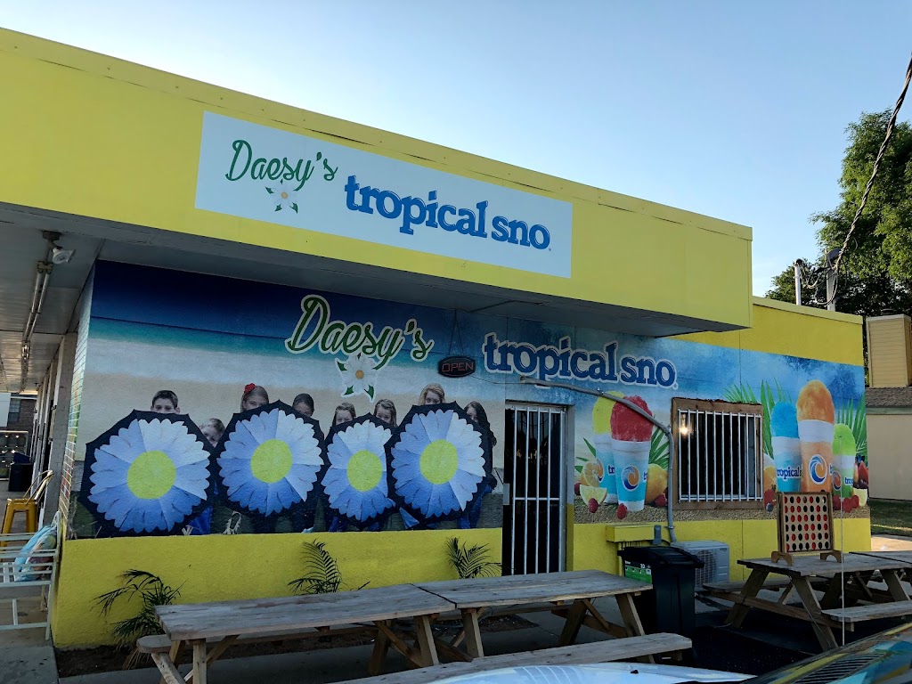 Daesys Tropical Sno | 3814 Little Rd, Arlington, TX 76016, USA | Phone: (817) 401-6310