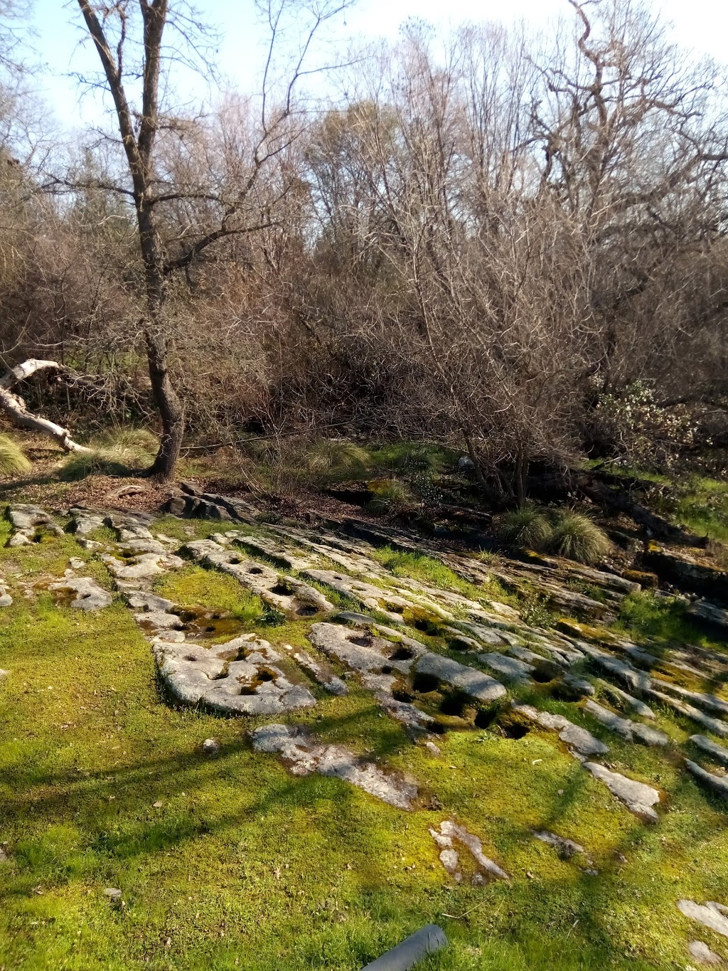 Maidu Museum & Historic Site | 1970 Johnson Ranch Dr, Roseville, CA 95661, USA | Phone: (916) 774-5934