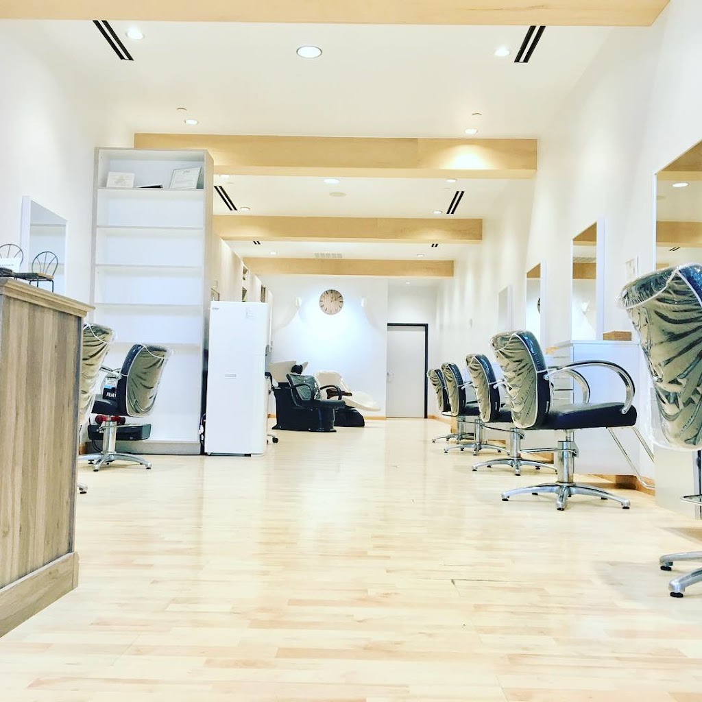 ARUKAS HAIR PLANO | 100 Legacy Dr #101, Plano, TX 75023, USA | Phone: (972) 517-1350