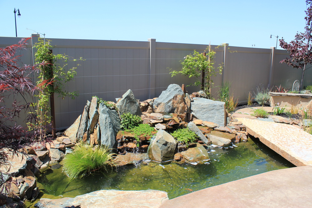 Spring Creek Watergardens | 6320 Southworth Rd, Valley Springs, CA 95252 | Phone: (209) 896-6067