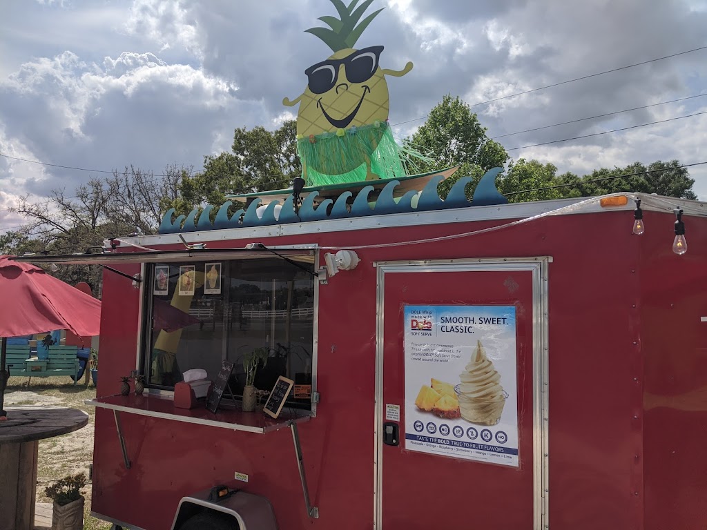 The Happy Pineapple | 1750 SE 58th Ave, Ocala, FL 34471, USA | Phone: (352) 362-1993