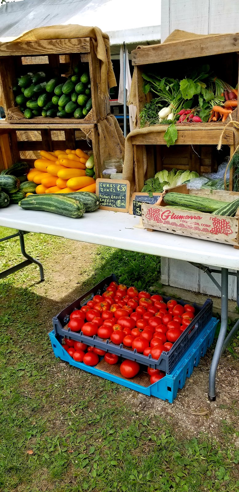 Wellspring Education Center & Organic Farm | 4382 Hickory Rd, West Bend, WI 53090, USA | Phone: (262) 675-6755