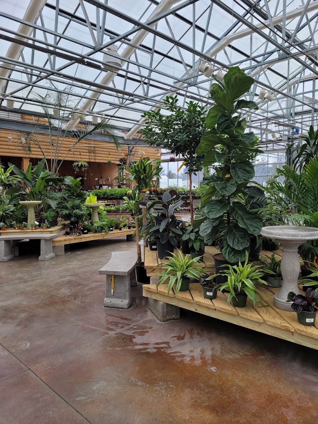 Breezewood Gardens & Gifts | 17600 Chillicothe Rd, Chagrin Falls, OH 44023, USA | Phone: (440) 543-2124