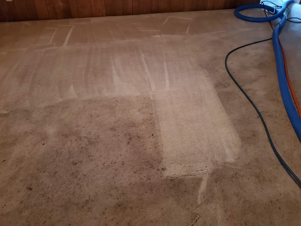 Above The rest carpet cleaning. 20+ years experience. | Hurst, TX 76053, USA | Phone: (682) 258-3642