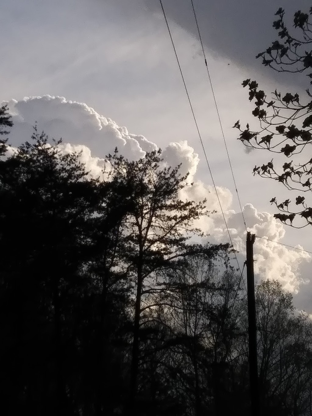 Roadside LLC | 967 Stone Mountain Rd, Stoneville, NC 27048, United States | Phone: (336) 573-3019