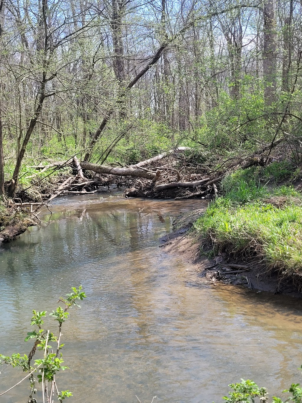 Thornwood Nature Preserve | 1597 S Morristown Pike, Greenfield, IN 46140, USA | Phone: (317) 477-4340