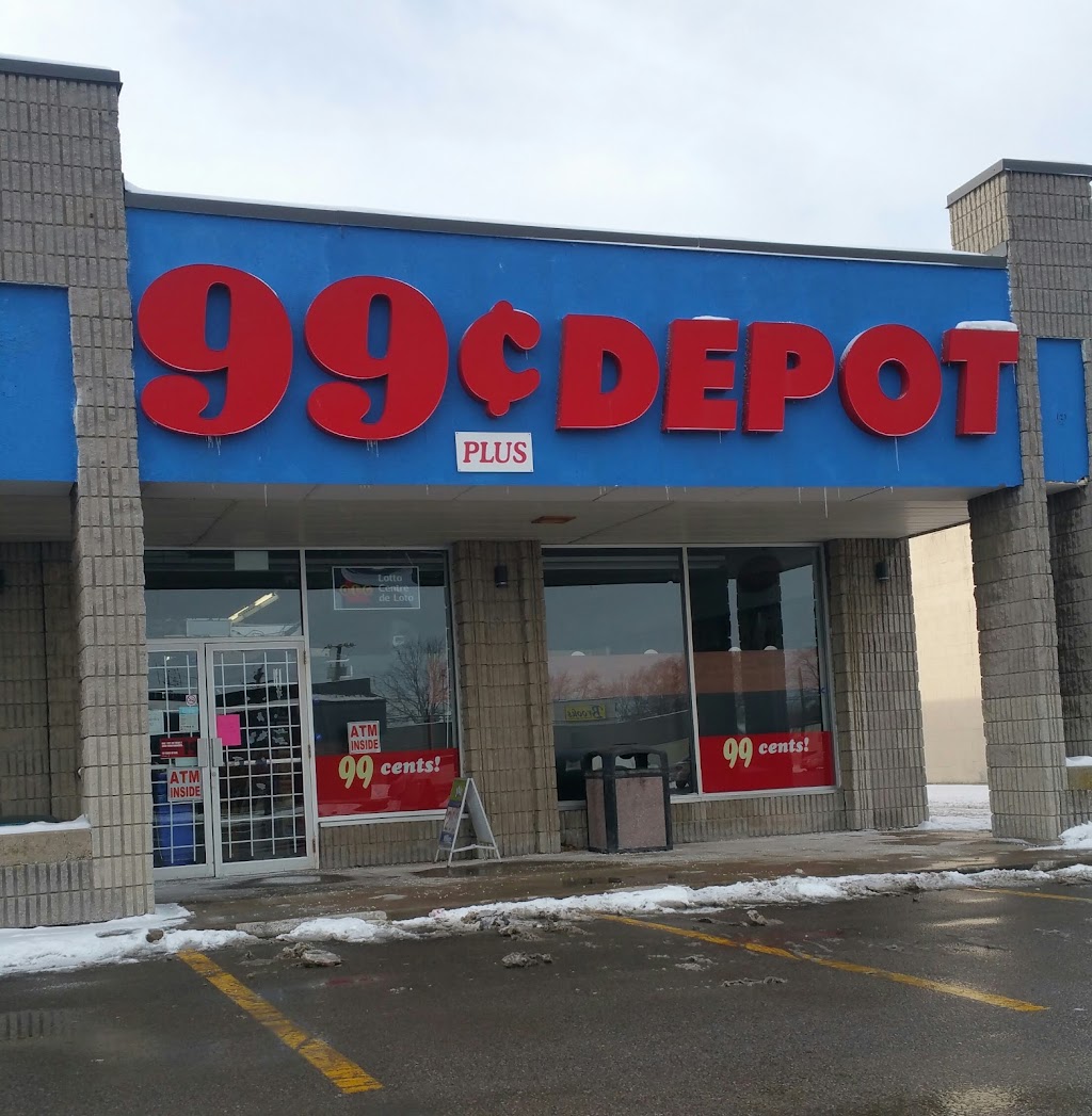 99¢ Depot | 149 Hartzel Rd, St. Catharines, ON L2P 1N6, Canada | Phone: (905) 688-1210