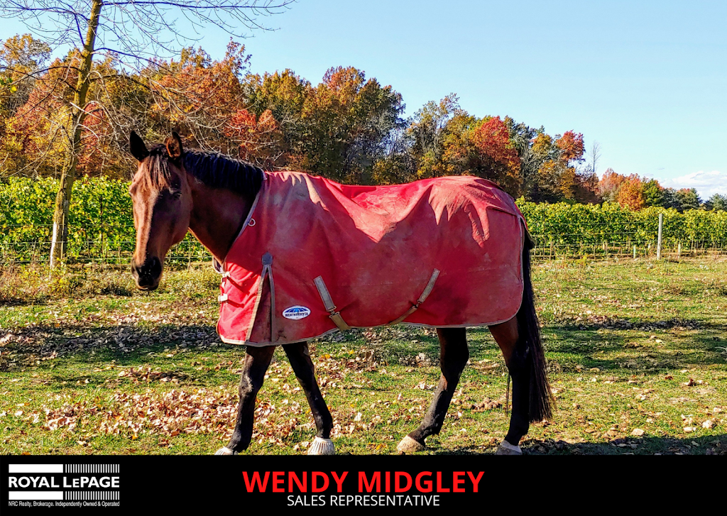Wendy Midgley | 125 Queen St unit 1, Niagara-on-the-Lake, ON L0S 1J0, Canada | Phone: (905) 325-9494