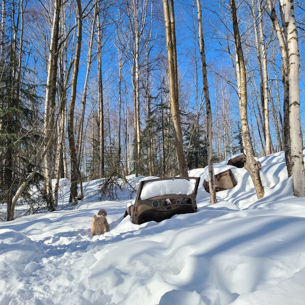 Connors Bog Dog Park | 5404 Jewel Lake Rd, Anchorage, AK 99517, USA | Phone: (907) 343-4355