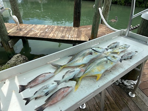 AquaThor Spearfishing | 134 Pacific Ave, Tavernier, FL 33070, USA | Phone: (305) 354-0253