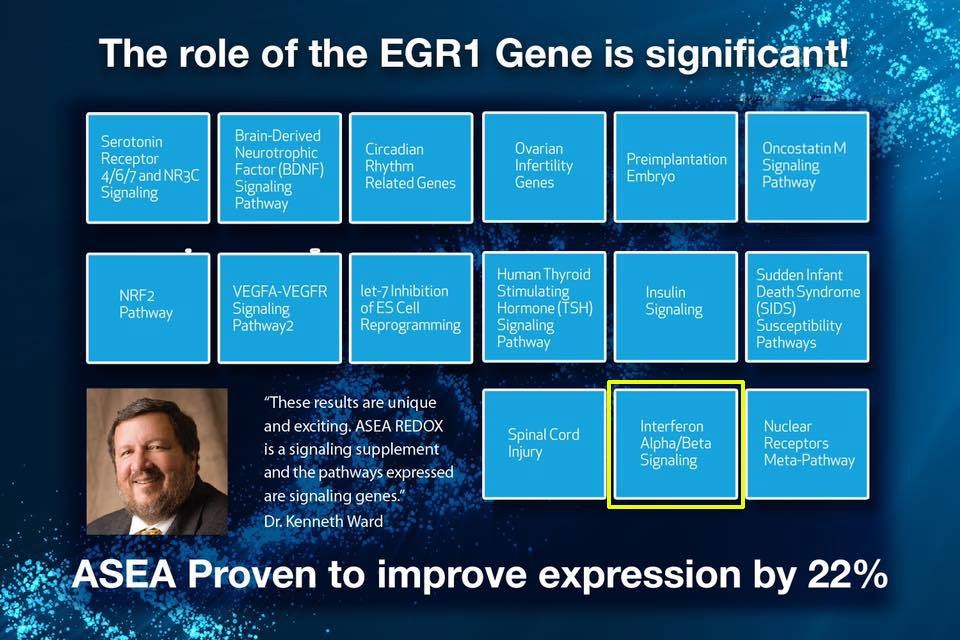 ASEA, Redox Signaling Molecules, NC | Cary, NC 27511, USA | Phone: (919) 368-3988