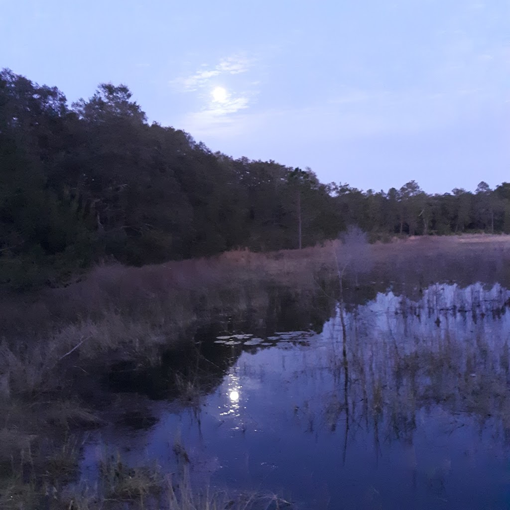 Shanty Pond Campground | FR 33, Fort McCoy, FL 32134, USA | Phone: (877) 444-6777