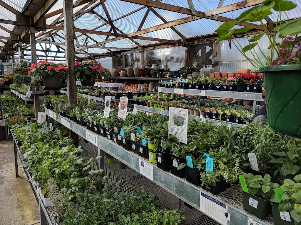 East Bay Nursery | 2332 San Pablo Ave, Berkeley, CA 94702, USA | Phone: (510) 845-6490