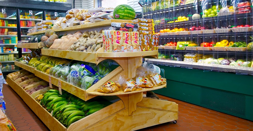 New Family Supermarket | 205 Humboldt Ave, Dorchester, MA 02121, USA | Phone: (617) 445-7135