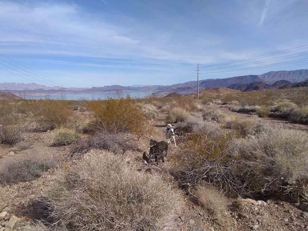 Pacifica Trail Head | Historic Railroad Hiking Trail, Boulder City, NV 89005, USA | Phone: (702) 294-5000