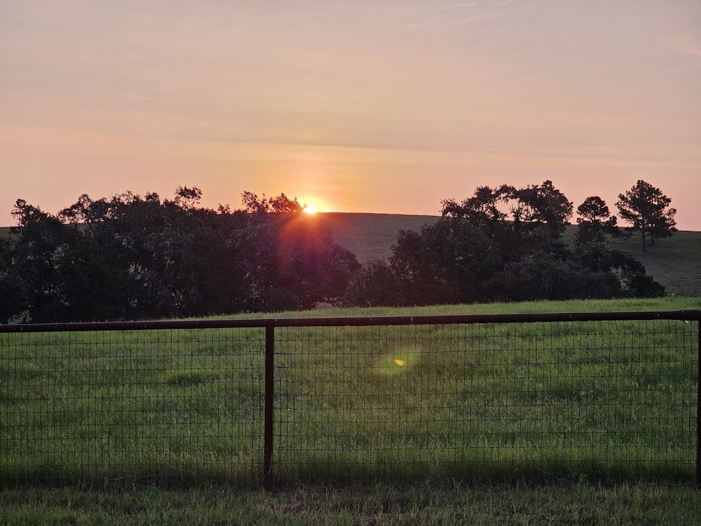 HLR Beef Shop | 111 US-175 W, Eustace, TX 75124, USA | Phone: (903) 425-9014