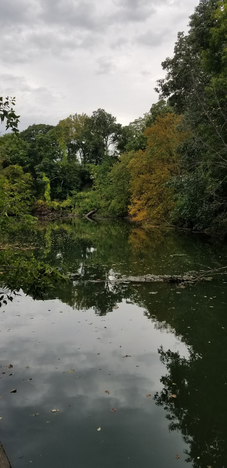 Historic Vale Cemetery | 907 State St, Schenectady, NY 12307, USA | Phone: (518) 346-0423