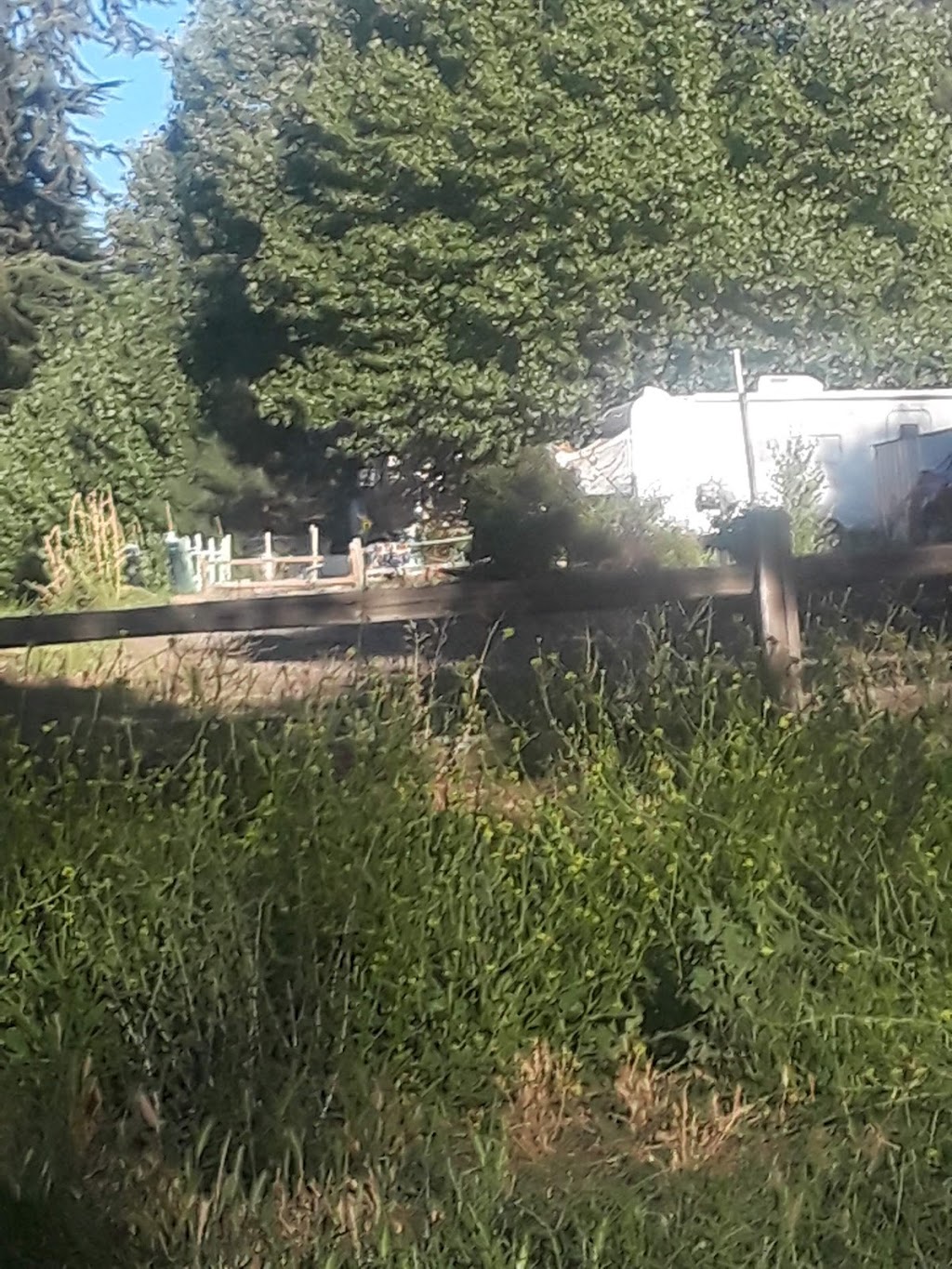 Pine Valley Trailer Park | 27521 Old Hwy 80, Guatay, CA 91931, USA | Phone: (619) 842-4055