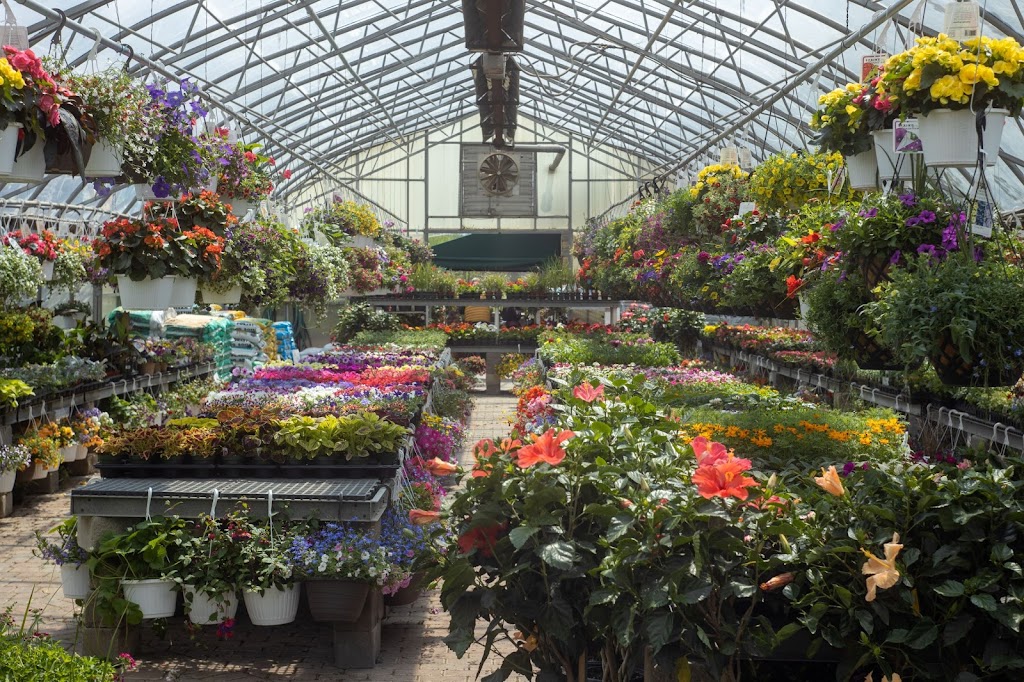 Country Farms Garden Center and Landscape Service | 1909 US-119, Greensburg, PA 15601, USA | Phone: (724) 837-4650