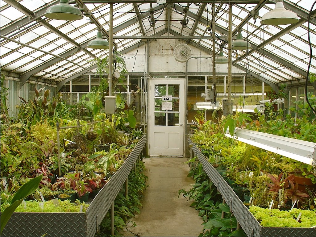 A Plant Nursery & Garden Center | 395 Atlantic Ave, Oceanside, NY 11572, USA | Phone: (516) 903-1723