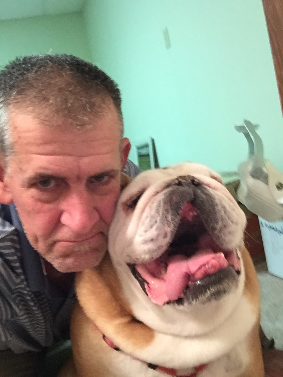 Pet Supplies Plus Hartville | 881 W Maple St, Hartville, OH 44632, USA | Phone: (234) 978-2160