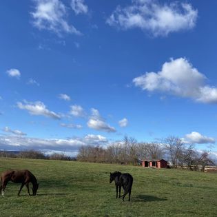 Kismet Farm Equestrian Center | 1630 Pleasant View Rd, Adamstown, MD 21710 | Phone: (603) 562-9754
