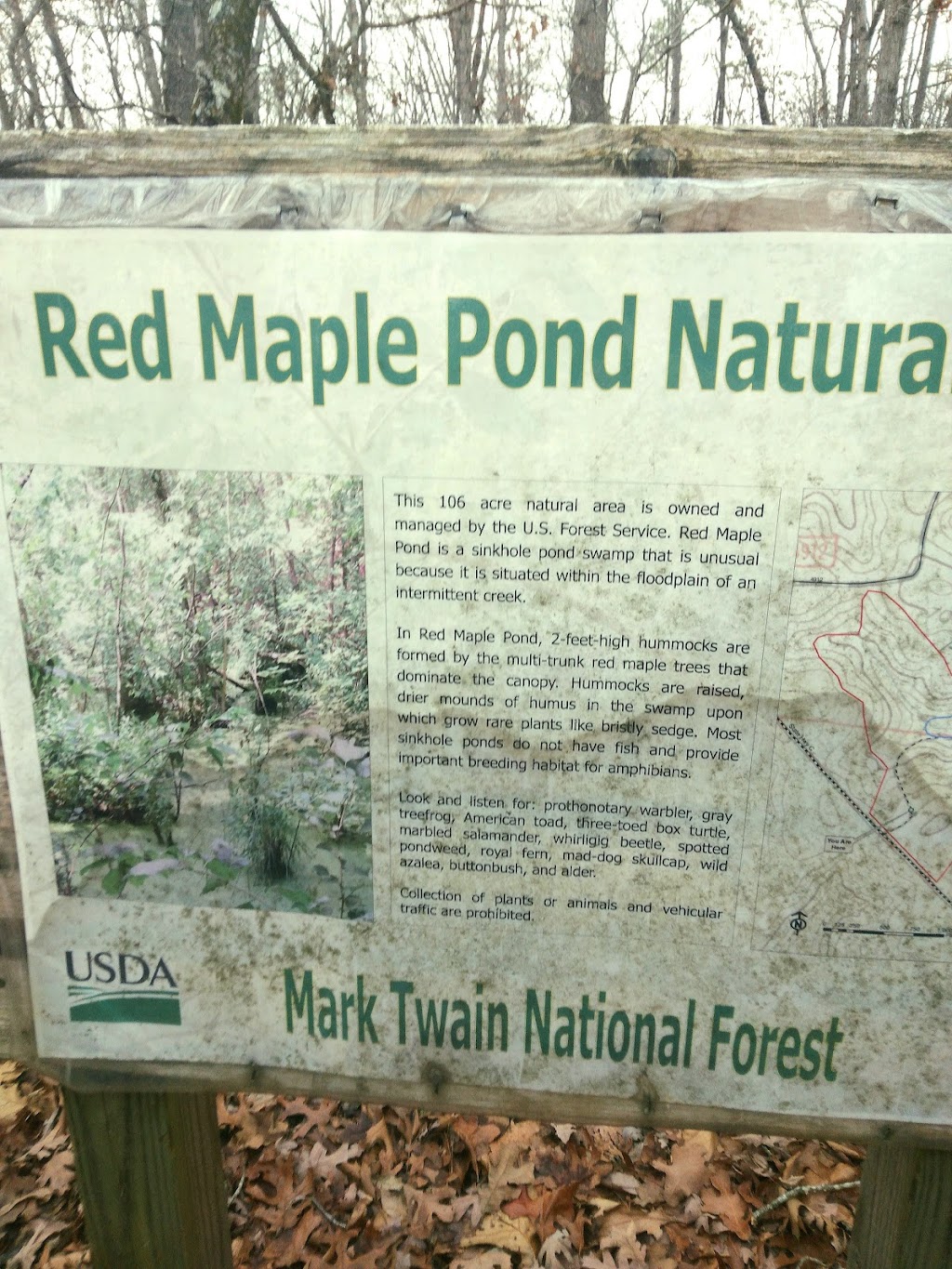 Mark Twain National Forest (Potosi Office) | Potosi-Fredericktown District Ranger 10019 W. State, 10019 W MO-8, Potosi, MO 63664, USA | Phone: (573) 438-5427