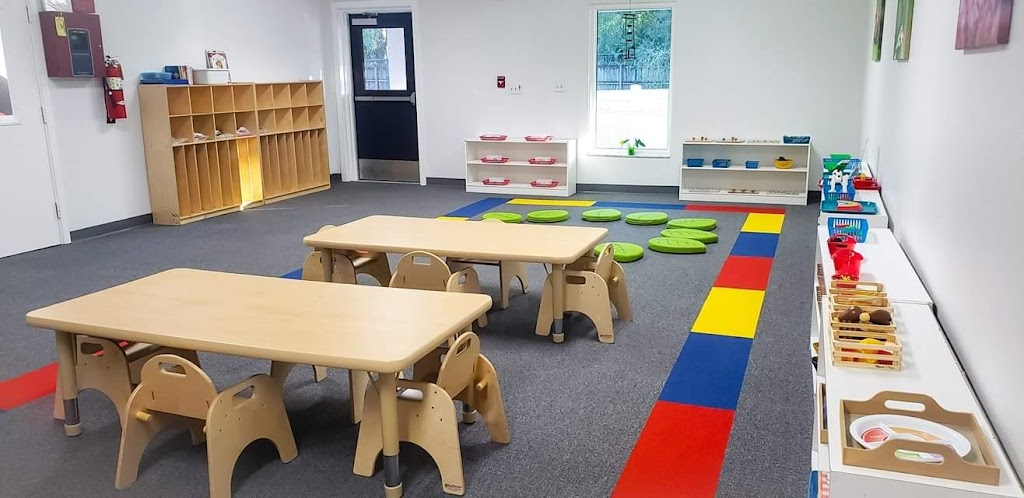 Montessori Academy of Carrollwood | 14018 N Blvd, Tampa, FL 33613, USA | Phone: (813) 968-4321