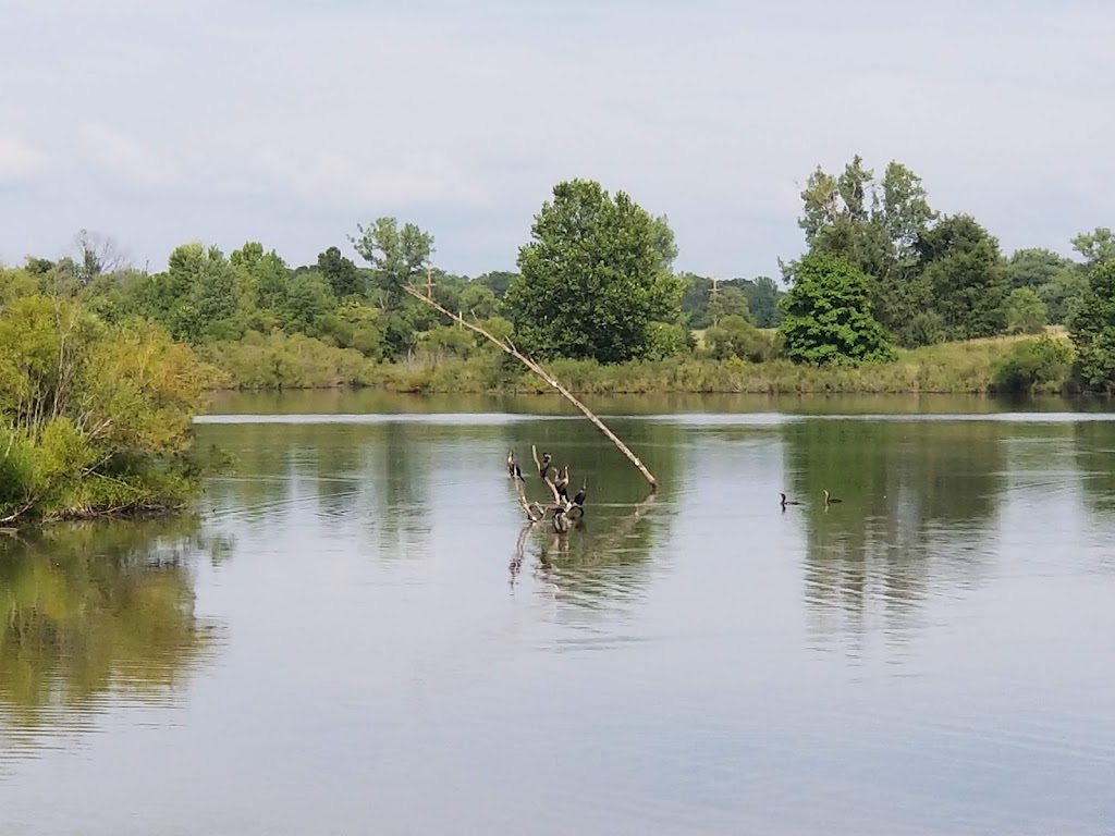 Pickerington Ponds Metro Park | 7680 Wright Rd, Canal Winchester, OH 43110, USA | Phone: (614) 208-4329