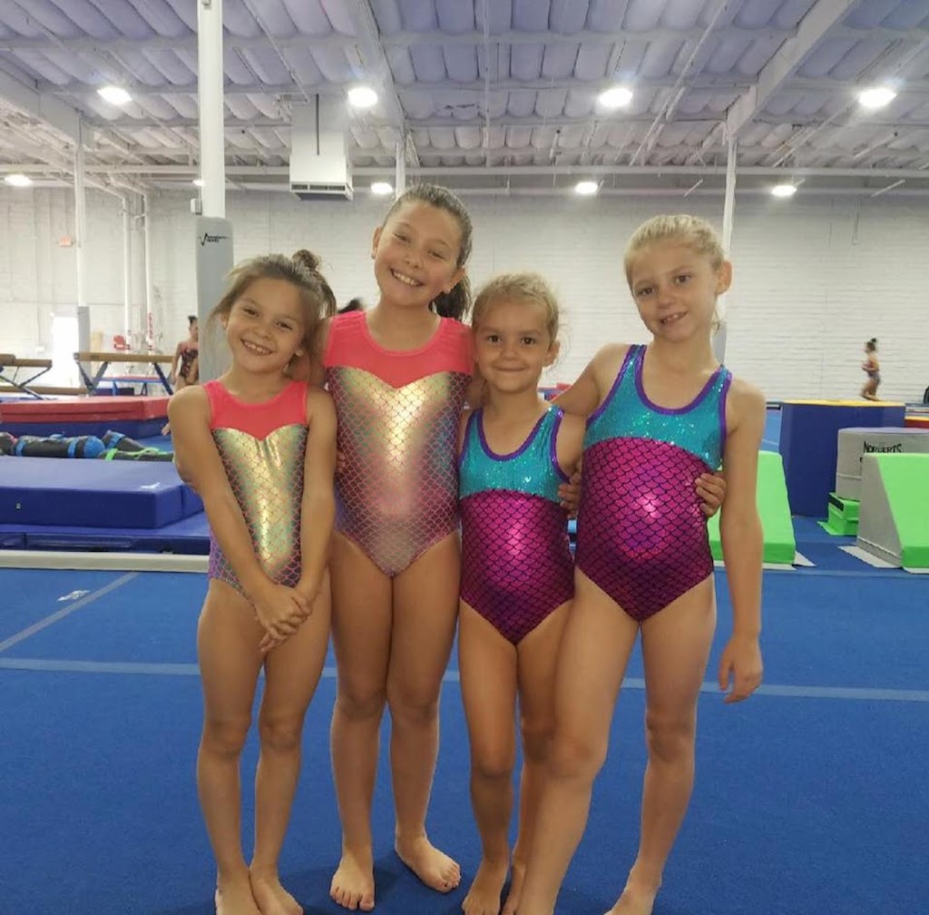 VIBE Gymnastics | 1411 N Tustin St, Orange, CA 92867, USA | Phone: (714) 931-8354 VIBE Gymnastics | 1411 N Tustin St, Orange, CA 92867, USA | Phone: (714) 931-8354