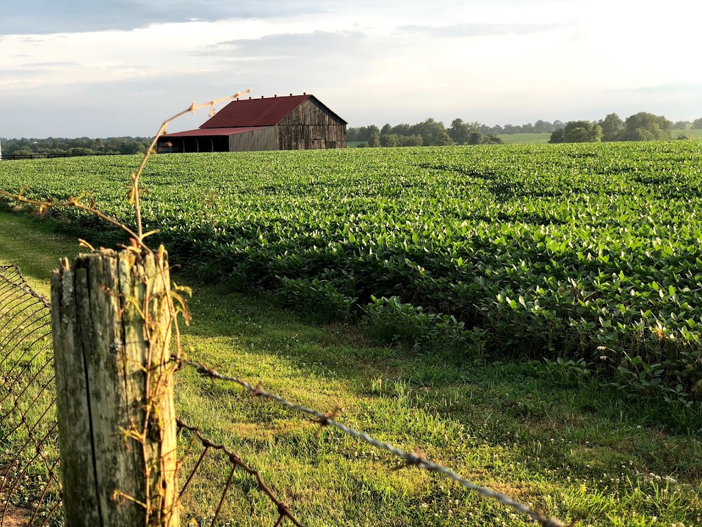 HOME|LAND of Kentucky Real Estate Professionals | 179 Alpine Rd, Shelbyville, KY 40065, USA | Phone: (502) 437-5357