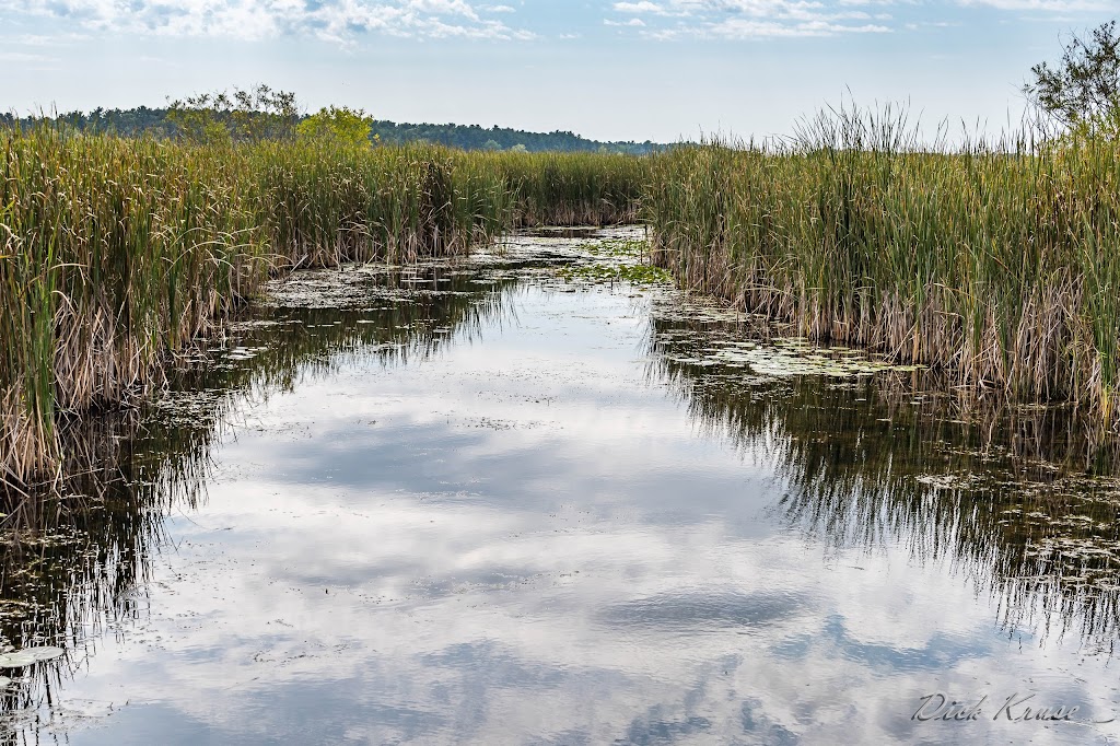 Coon Lake County Park | 5450 197th Ave NE, Columbus, MN 55025, USA | Phone: (763) 757-3920