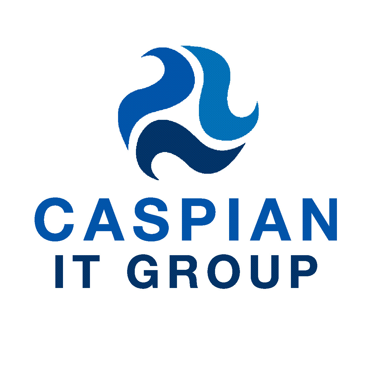 Caspian IT Group | 1425 Koll Cir, San Jose, CA 95112, United States | Phone: (408) 780-0900