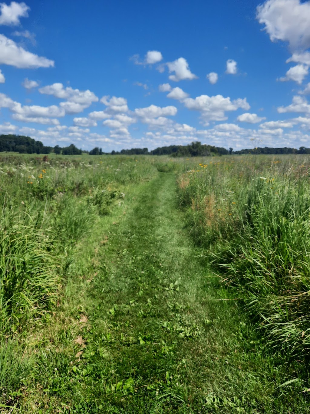 Cherokee Marsh Conservation Park - North | 6098 N Sherman Ave, Madison, WI 53704, USA | Phone: (608) 266-4711