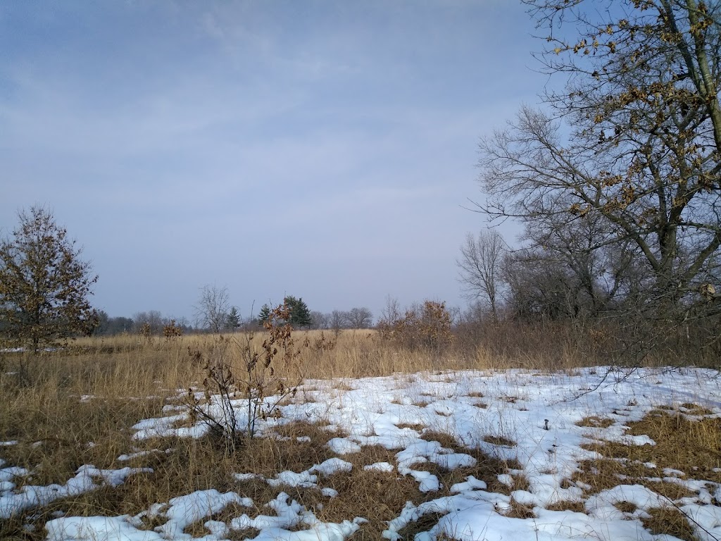 Mazomanie Oak Barrens State Natural Area | 9749 County Hwy Y, Mazomanie, WI 53560, USA | Phone: (608) 266-0394