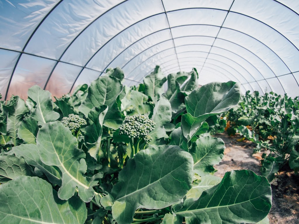 Purple Sage Farms | 11981 Bullock Rd, Middleton, ID 83644, USA | Phone: (208) 585-6140