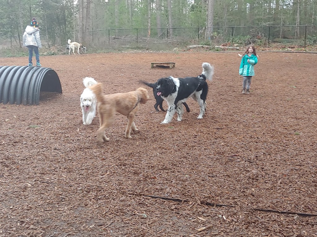 Hounds Hollow Dog Park | Bonney Lake, WA 98391, USA | Phone: (253) 205-8190