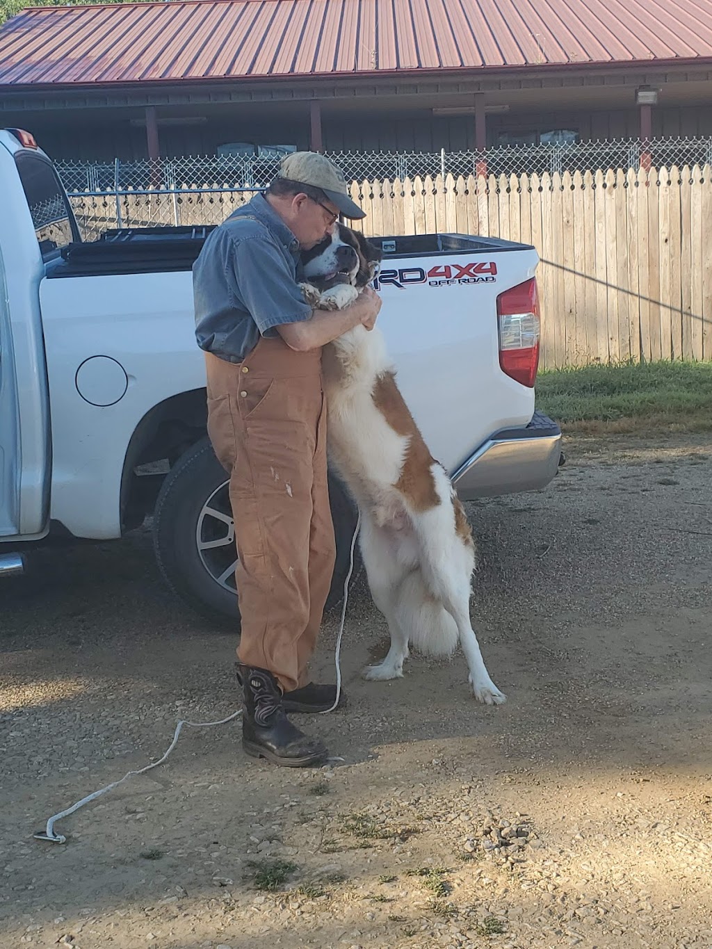 Happy Paws | 2218 N Broadway St, Checotah, OK 74426, USA | Phone: (918) 260-3530