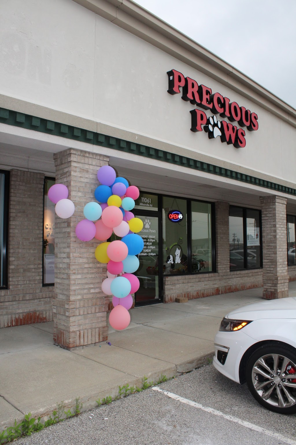 Precious Paws | 11061 Allisonville Rd, Fishers, IN 46038, USA | Phone: (317) 863-8899