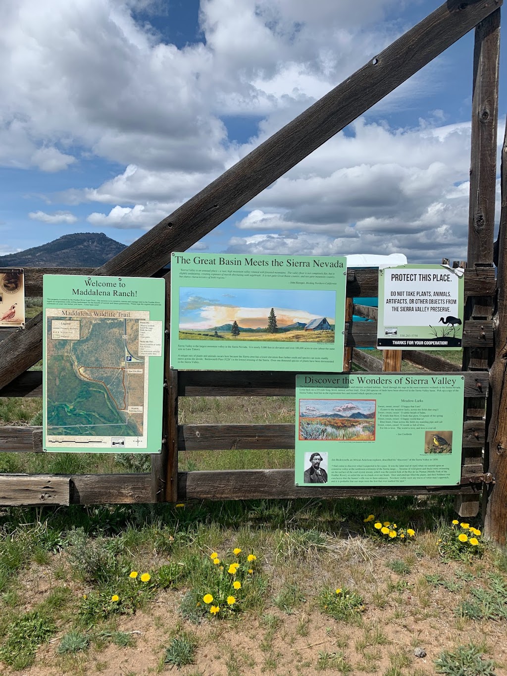 Sierra Valley Preserve Public Access | Co Rte A24, Beckwourth, CA 96129, USA | Phone: (530) 283-5758