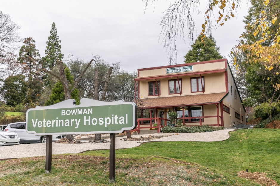 Bowman Veterinary Hospital | 100 Old Airport Rd, Auburn, CA 95603, USA | Phone: (530) 823-6306