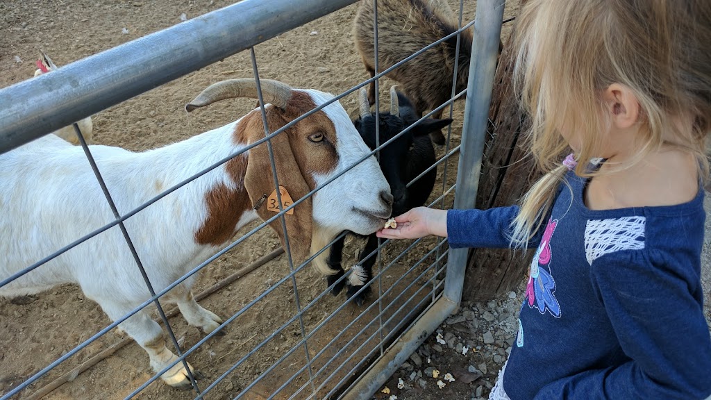 Owen Farm Tours | 1668 Silver Creek Rd, Danville, VA 24540, USA | Phone: (434) 728-3410