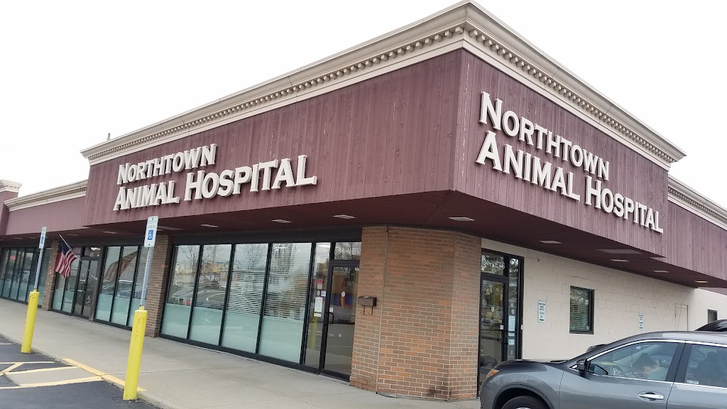 Northtown Animal Hospital | 839 Niagara Falls Blvd, Buffalo, NY 14226, USA | Phone: (716) 834-8387