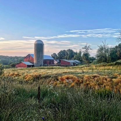 Wormuth Farm | 577 County Road 519, Wantage, NJ 07461, USA | Phone: (347) 328-4764