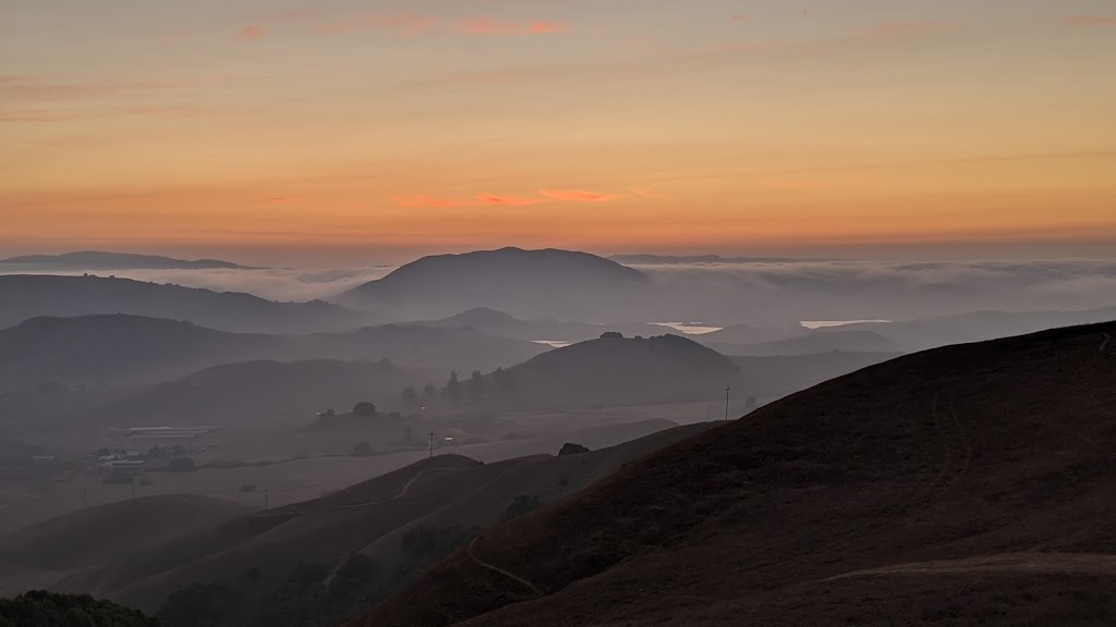 Cow Track Ranch | Nicasio Valley Rd, Nicasio, CA 94946, USA | Phone: (707) 360-7789