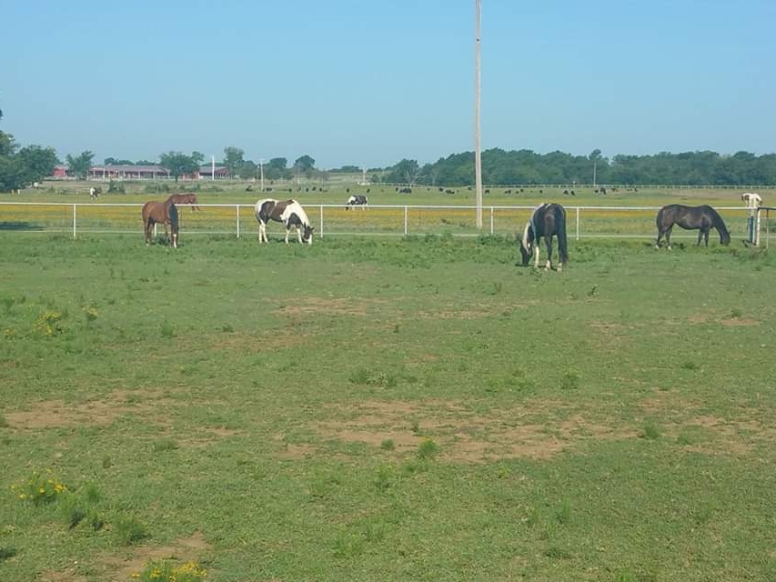 Healing Reins Ranch | 1025 W Skelly Rd, Haskell, OK 74436, USA | Phone: (918) 534-7097