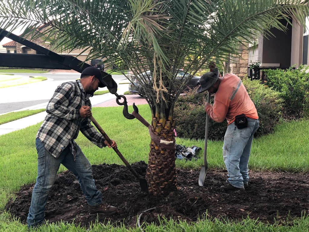 Ebenezer nursery & Landscaping services | 6635 S Orange Blossom Trail, Davenport, FL 33896 | Phone: (786) 402-0120